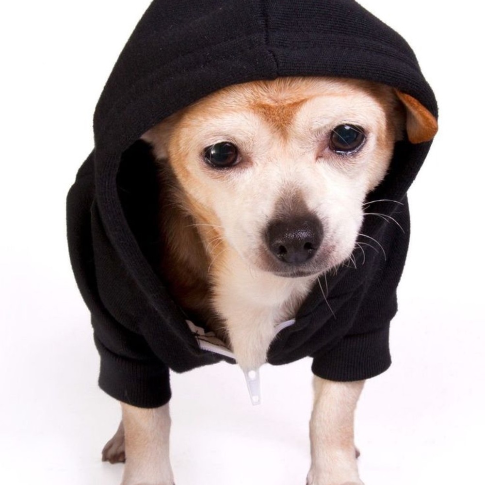 American Apparel Unisex Flex Fleece Dog Zip Hoodie - XL